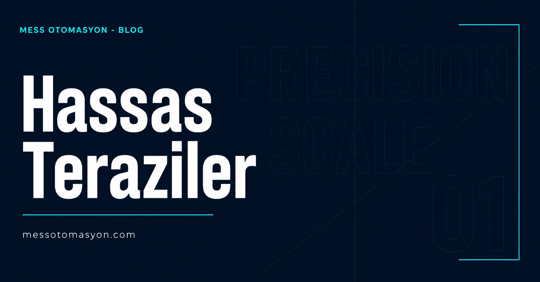 Hassas Teraziler 